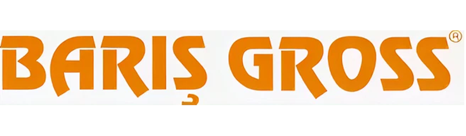 Barış Gross logosu